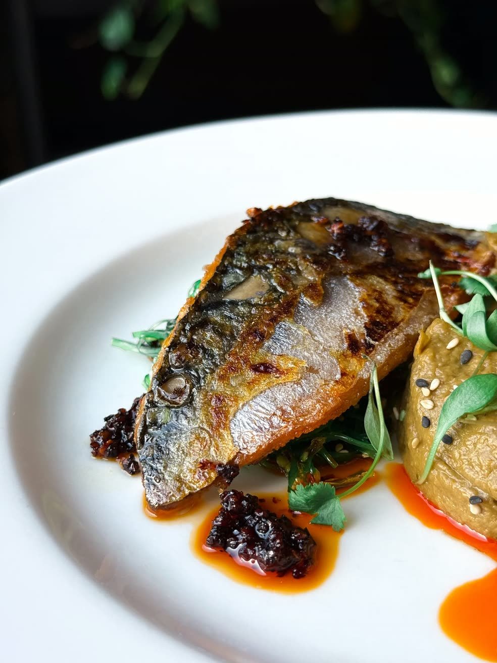 Crabshakk – mackerel with aubergine and chilli